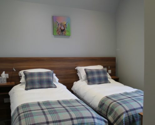 Standard King Twin Bed Accommodation for NC500